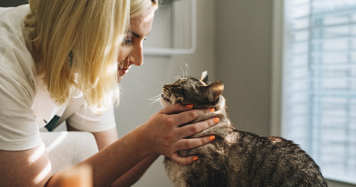 動物病院の費用相場。初診料・検査・手術の料金目安